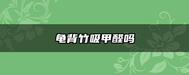 龟背竹吸甲醛吗