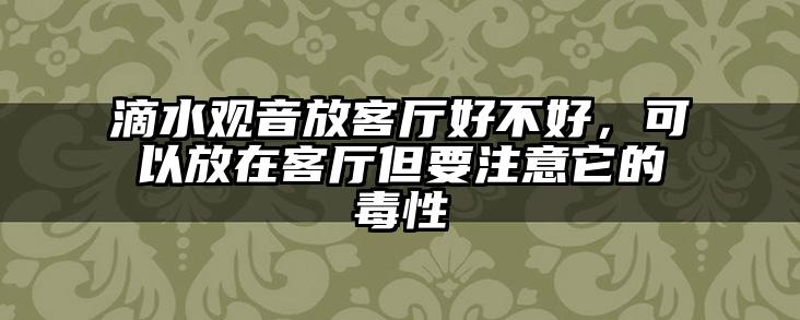 滴水观音放客厅好不好,可以放在客厅但要注意它的毒性