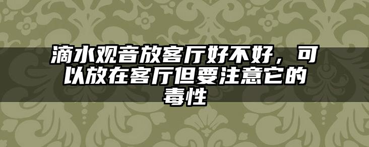 滴水观音放客厅好不好，可以放在客厅但要注意它的毒性