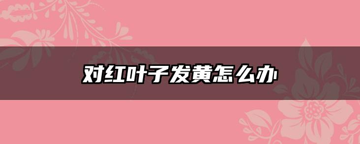对红叶子发黄怎么办