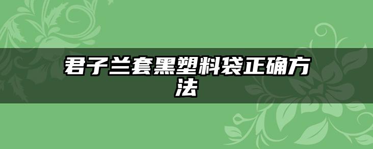 君子兰套黑塑料袋正确方法