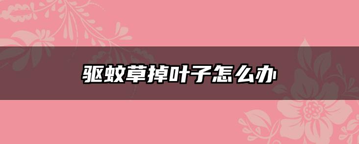 驱蚊草掉叶子怎么办