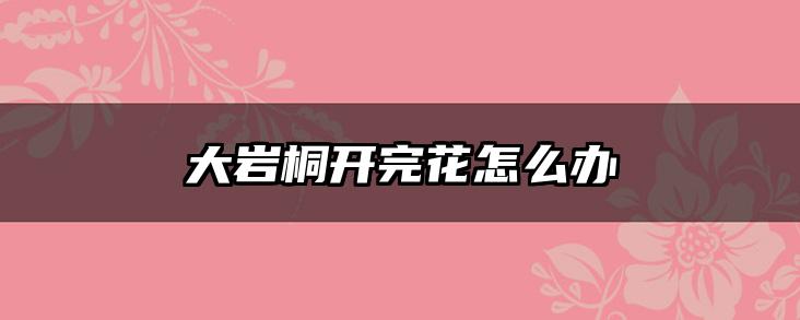 大岩桐开完花怎么办