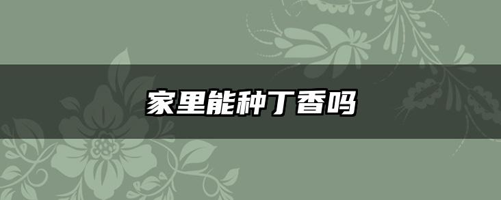 家里能种丁香吗