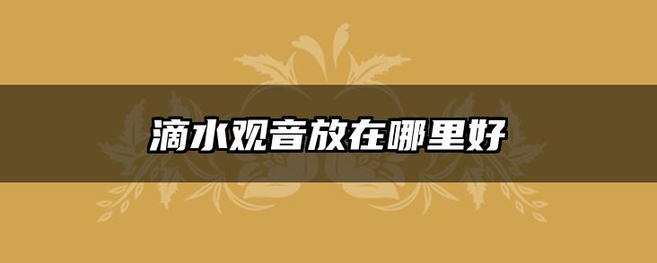 滴水观音放在哪里好