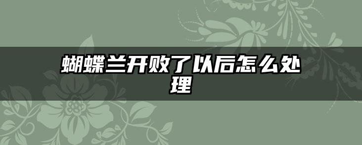 蝴蝶兰开败了以后怎么处理