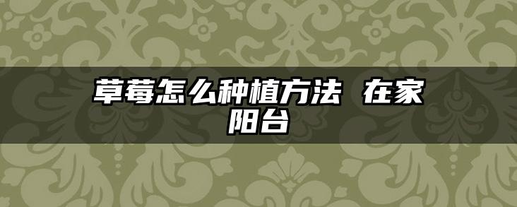 草莓怎么种植方法 在家阳台