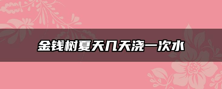 金钱树夏天几天浇一次水