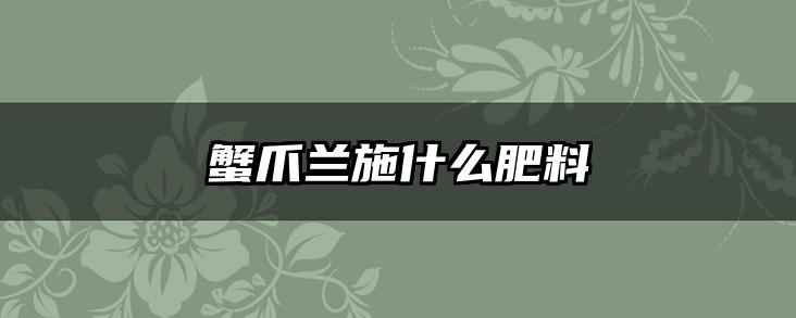 蟹爪兰施什么肥料
