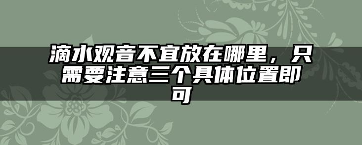 滴水观音不宜放在哪里,只需要注意三个具体位置即可