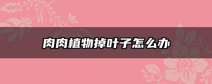 肉肉植物掉叶子怎么办