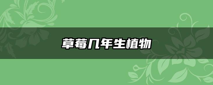 草莓几年生植物