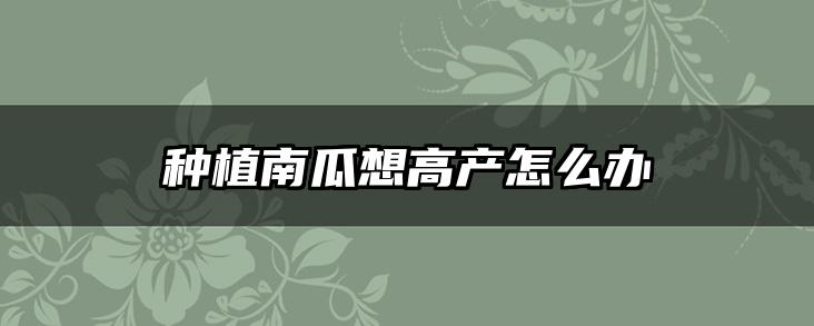 种植南瓜想高产怎么办
