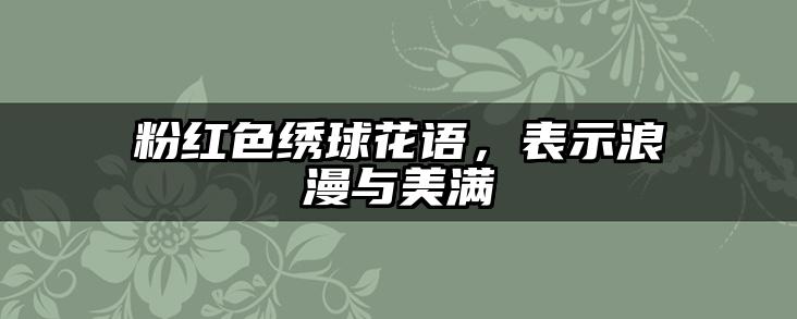 粉红色绣球花语,表示浪漫与美满