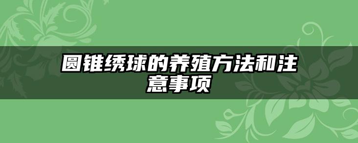 圆锥绣球的养殖方法和注意事项