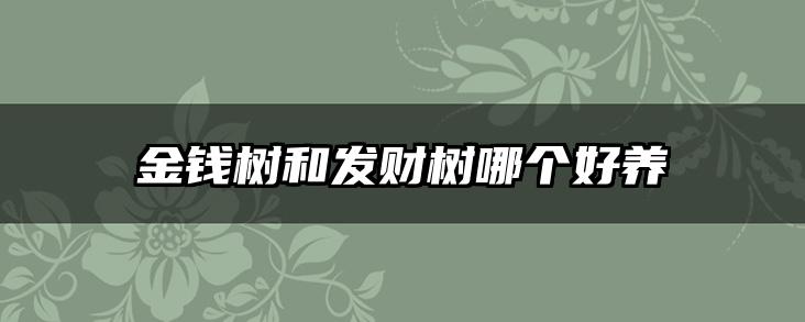 金钱树和发财树哪个好养