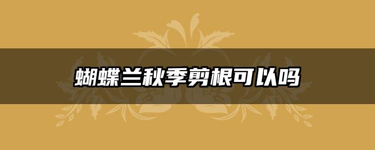 蝴蝶兰秋季剪根可以吗