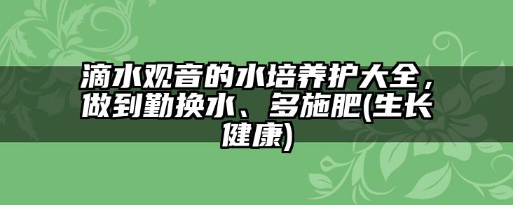 滴水观音的水培养护大全，做到勤换水、多施肥(生长健康)