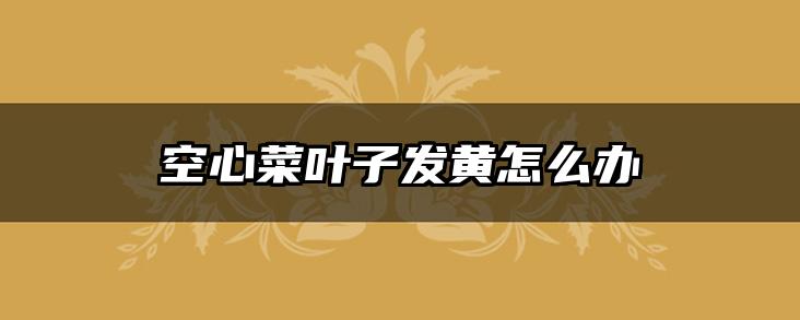 空心菜叶子发黄怎么办