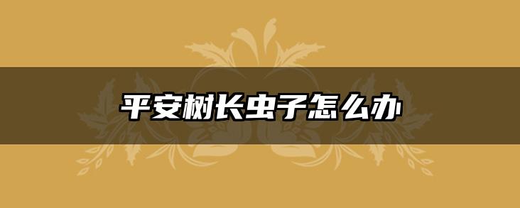 平安树长虫子怎么办
