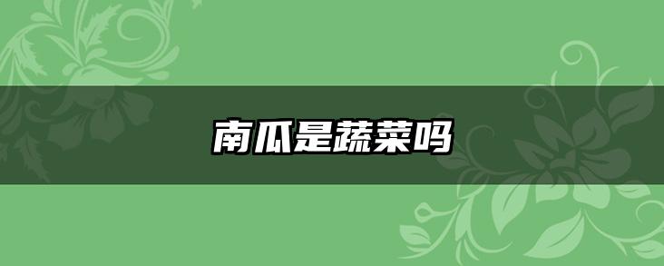 南瓜是蔬菜吗