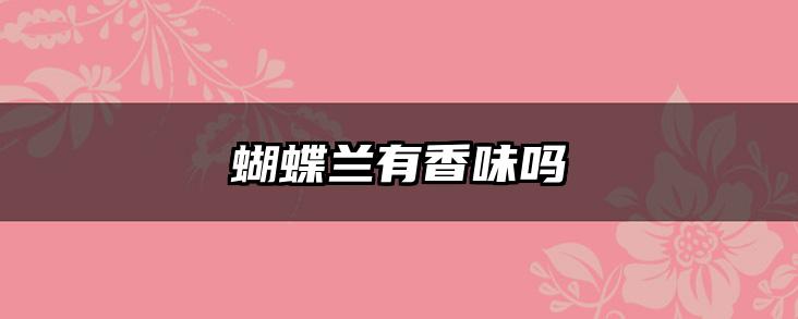蝴蝶兰有香味吗