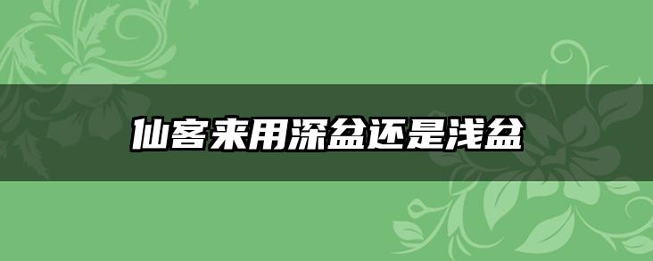 仙客来用深盆还是浅盆