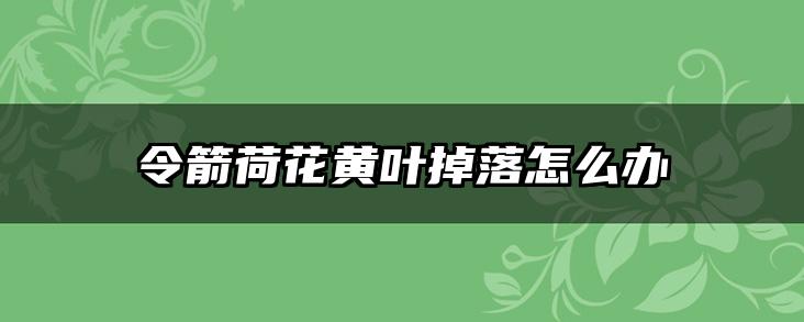 令箭荷花黄叶掉落怎么办