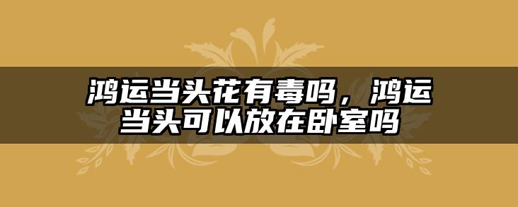 鸿运当头花有毒吗,鸿运当头可以放在卧室吗