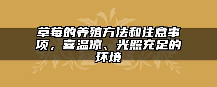 草莓的养殖方法和注意事项，喜温凉、光照充足的环境