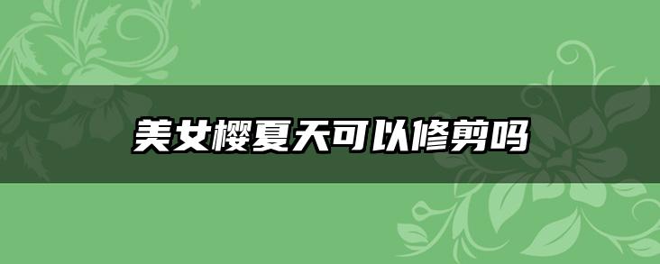美女樱夏天可以修剪吗