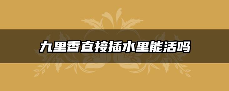 九里香直接插水里能活吗