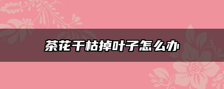 茶花干枯掉叶子怎么办