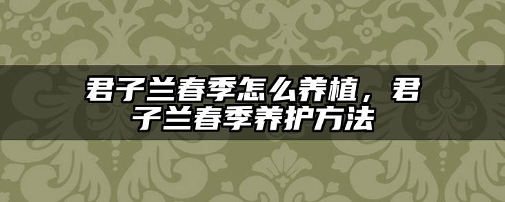 君子兰春季怎么养植,君子兰春季养护方法