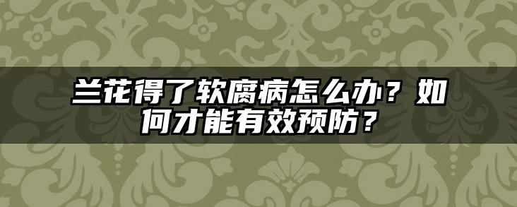 兰花得了软腐病怎么办?如何才能有效预防?