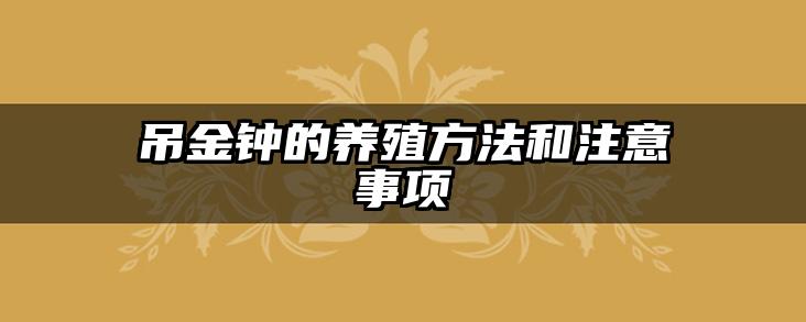 吊金钟的养殖方法和注意事项