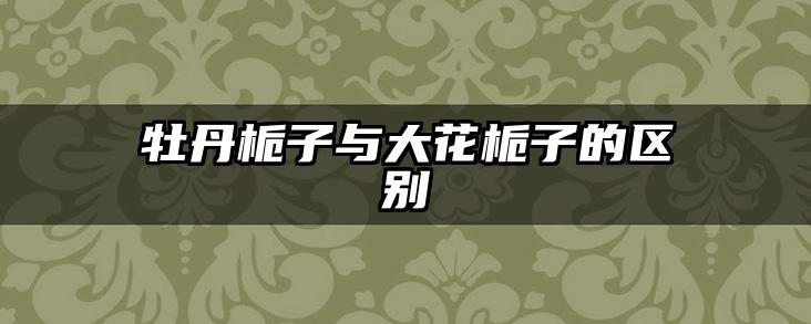 牡丹栀子与大花栀子的区别