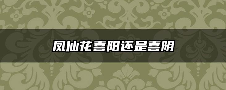 凤仙花喜阳还是喜阴
