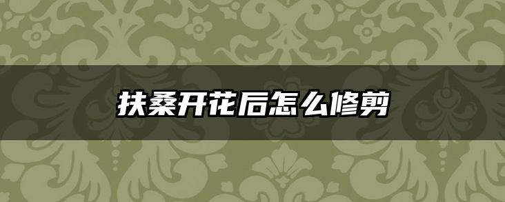 扶桑开花后怎么修剪