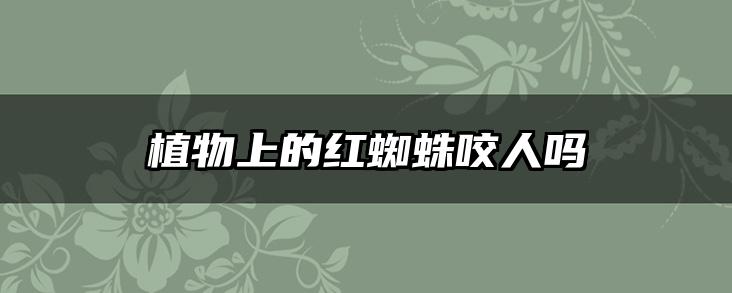 植物上的红蜘蛛咬人吗