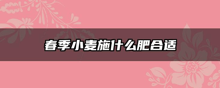 春季小麦施什么肥合适
