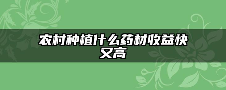 农村种植什么药材收益快又高