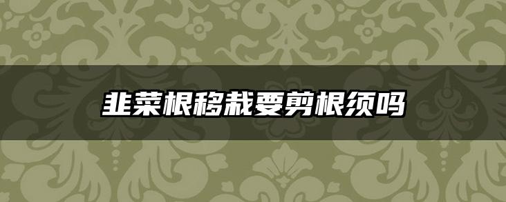 韭菜根移栽要剪根须吗