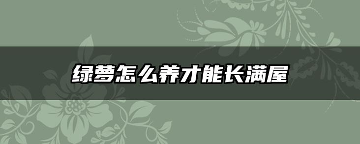 绿萝怎么养才能长满屋