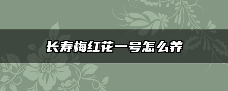 长寿梅红花一号怎么养