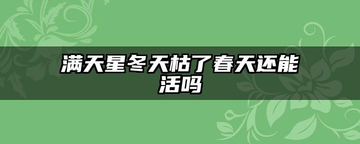 满天星冬天枯了春天还能活吗