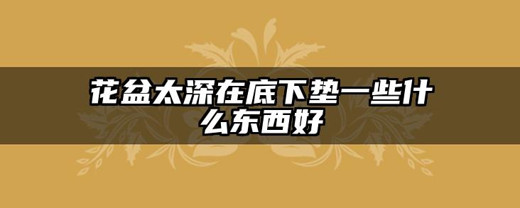 花盆太深在底下垫一些什么东西好