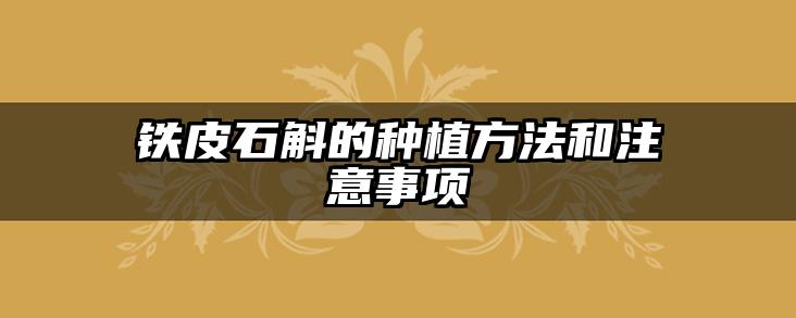 铁皮石斛的种植方法和注意事项