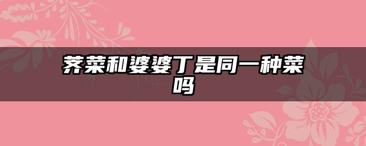 荠菜和婆婆丁是同一种菜吗