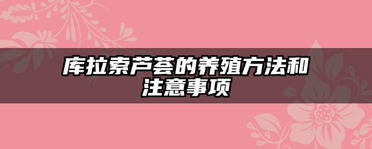 库拉索芦荟的养殖方法和注意事项